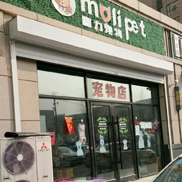 魔力宠物:长春市经济开发区中东区域附近