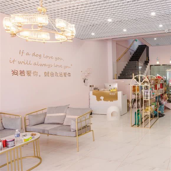 精灵谷宠物生活馆(万科城店):长春市净月开发区净月开发区/净月潭附近