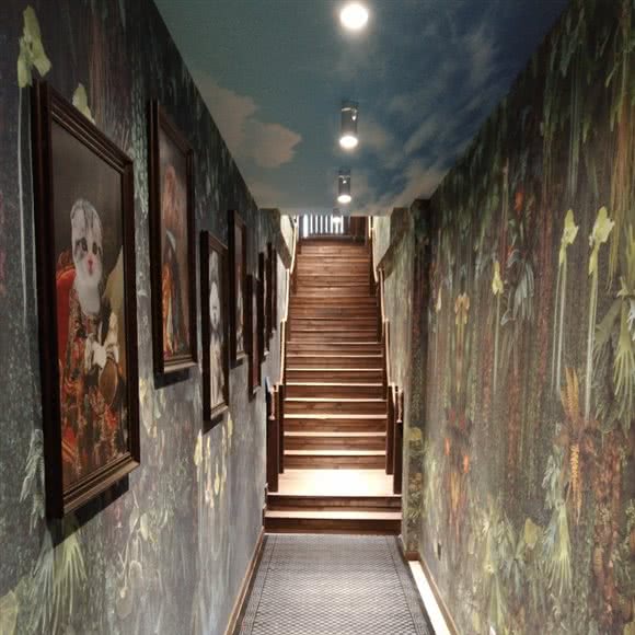 威龙狗狗:长春市净月开发区净月开发区/净月潭附近