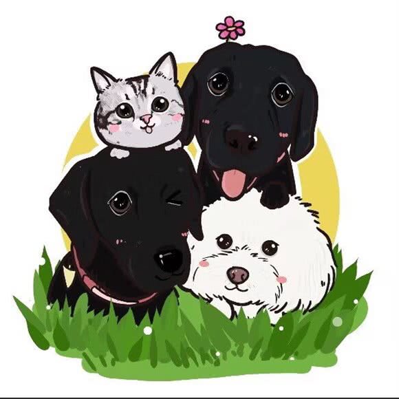 宠当家宠物生活馆:长春市净月开发区净月开发区/净月潭附近