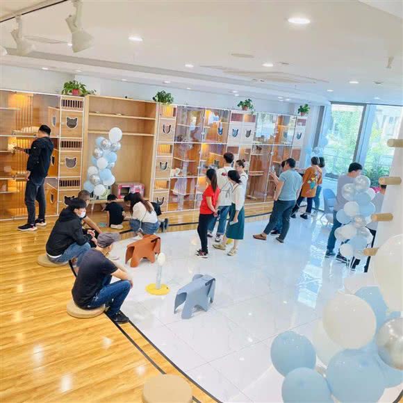 木卡宠物购猫体验馆(净月店):长春市净月开发区净月开发区/净月潭附近