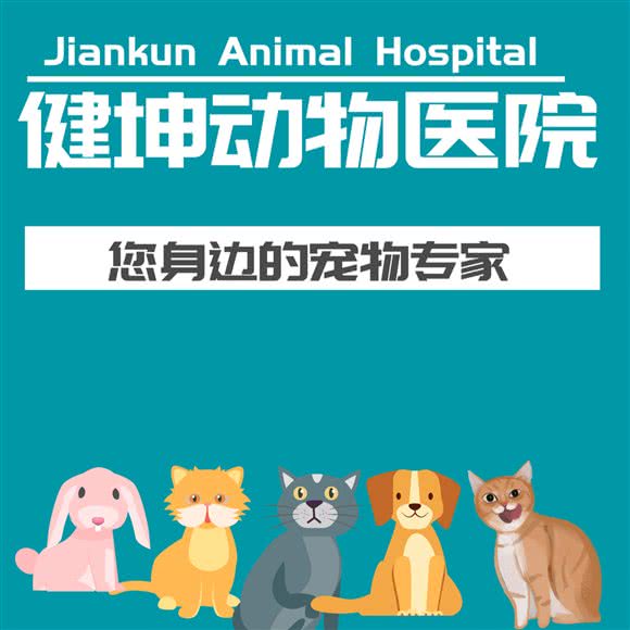 健坤动物医院:长春市净月开发区净月开发区/净月潭附近