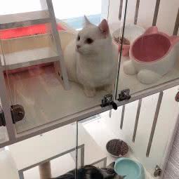 petlife爱宠生活馆:苏州市工业园区苏州中心商场附近