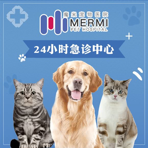 魔米宠物医院24小时(独墅湖大学城店):苏州市工业园区独墅湖大学城附近