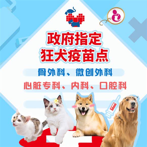 领华宠医·苏州爱牠动物医院·急诊外科中心:苏州市工业园区博览中心附近