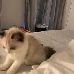 hompet宠物生活馆（方洲公园:苏州市工业园区永旺梦乐城附近