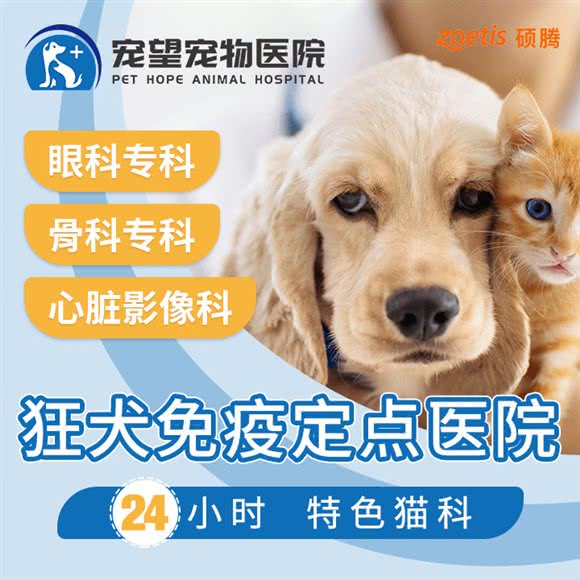 宠望宠物医院·24小时·眼科专科·骨科专科(东沙湖路店):苏州市工业园区永旺梦乐城附近