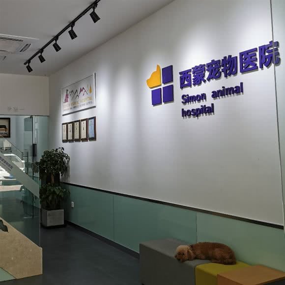 西蒙宠物医院:苏州市工业园区永旺梦乐城附近
