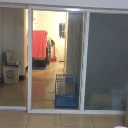 宠遇工作室:苏州市工业园区娄葑镇附近