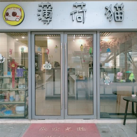 薄荷猫宠物店:苏州市工业园区青剑湖跨塘附近