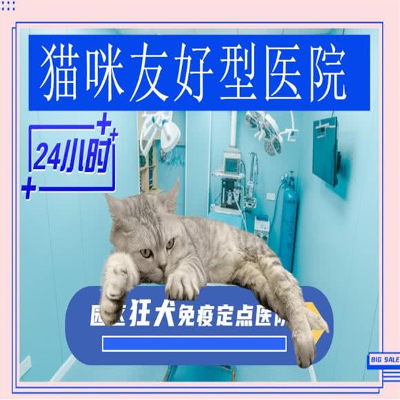 萌晟宠物医院(东沙湖店):苏州市工业园区东沙湖邻里中心附近