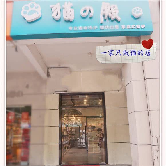 猫の殿·宠物出售·洗护寄养:苏州市工业园区中海国际社区附近