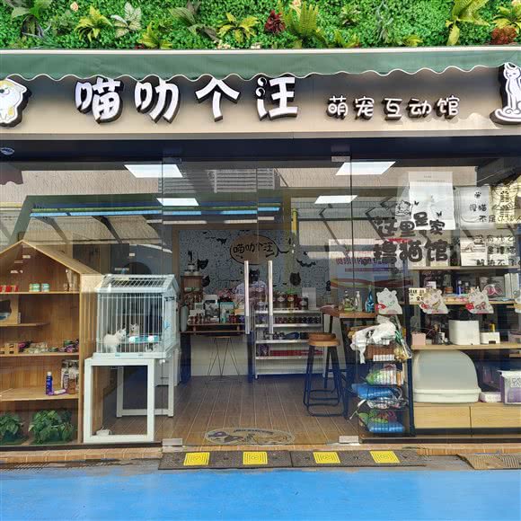 喵叻个汪宠物互动馆:苏州市工业园区双湖广场附近