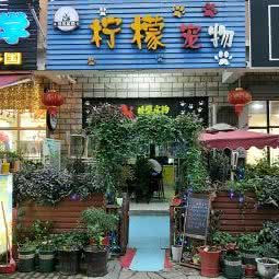 柠檬宠物:苏州市甪直甪直风景区附近