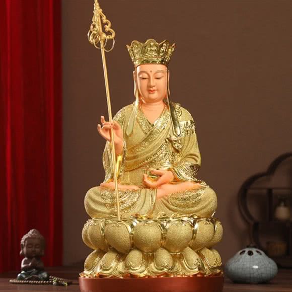 追念宠物殡葬火化善终:合肥市高新区新华学院附近