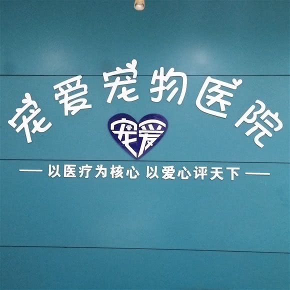 宠爱宠物医院(兴园店):合肥市高新区华地紫园附近