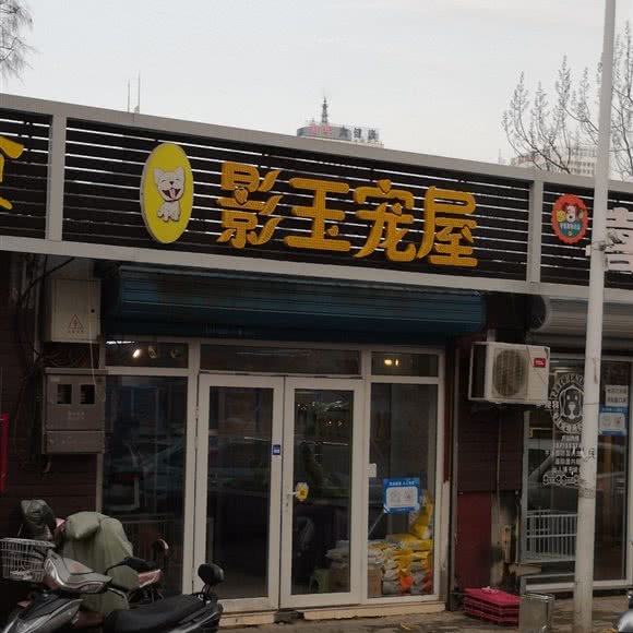 影玉宠屋:秦皇岛市海港区文化路附近