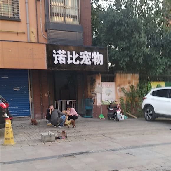 诺比宠物:合肥市新站区生态公园附近