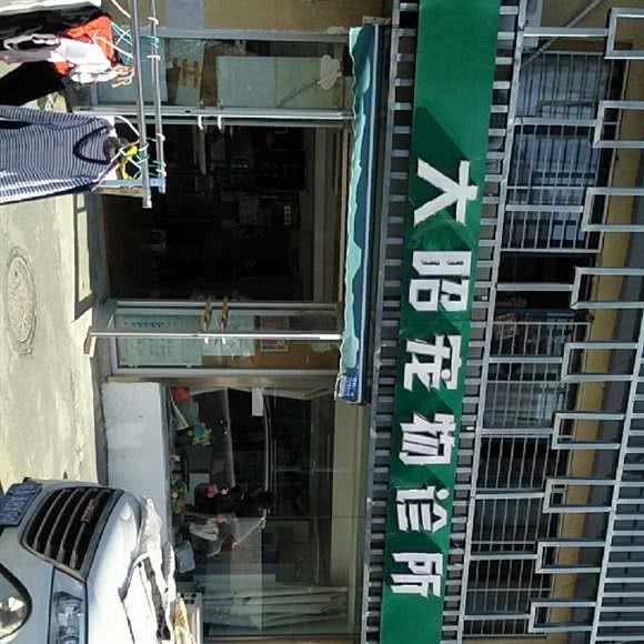 大昭宠物医院:合肥市新站区生态公园附近