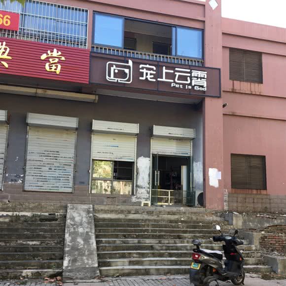 宠上云霄:合肥市经开区港澳广场附近