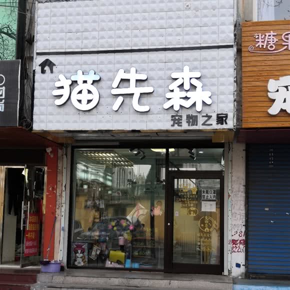 猫先森宠物之家:秦皇岛市海港区文化路附近