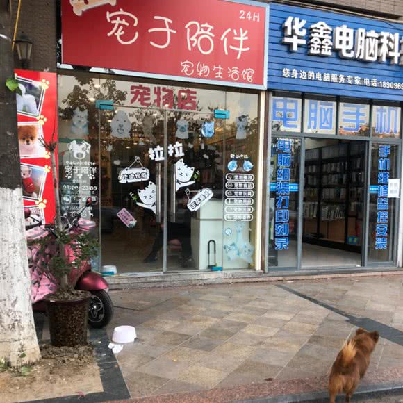 宠于陪伴宠物生活馆:合肥市经开区中环城附近