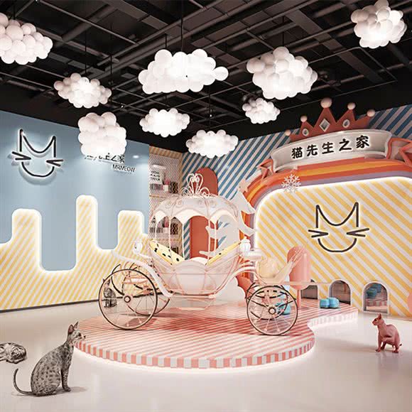 猫先生之家狗狗生活馆:合肥市经开区中环城附近