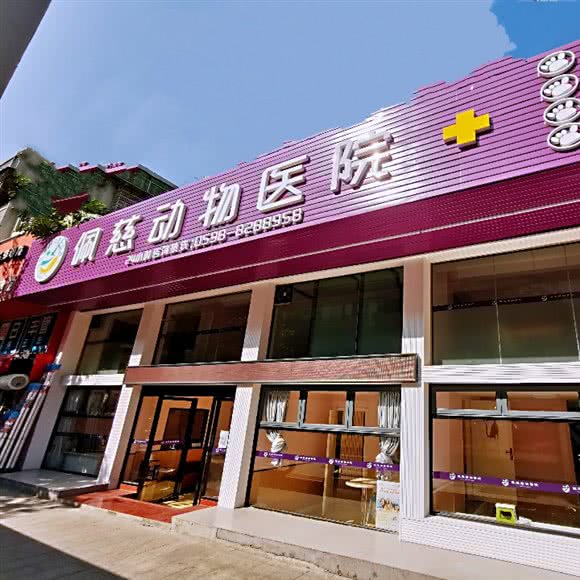 三明佩慈动物医院:三明市梅列区东新五路附近