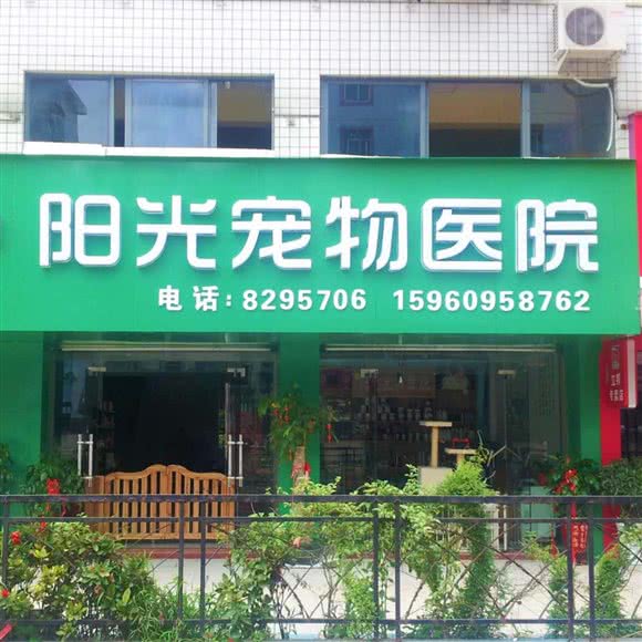 阳光宠物医院:三明市梅列区列西附近