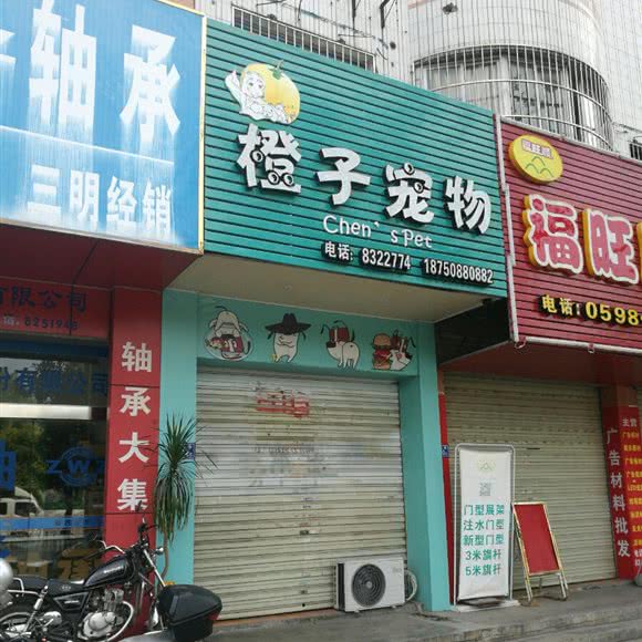 橙子宠物Chen’s Pet:三明市梅列区东安新村附近