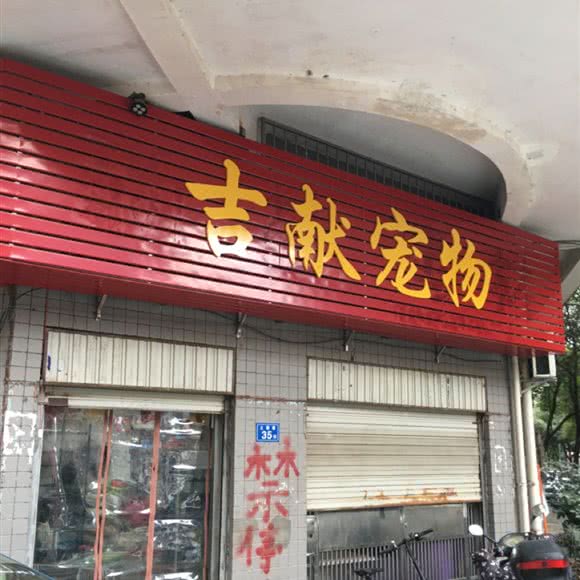 吉献宠物:三明市梅列区东安新村附近