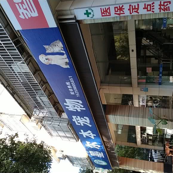 墨尔本宠物医院:三明市梅列区梅列区政府附近