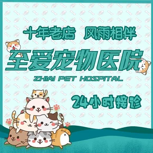 青岛至爱宠物医院24小时:济南市高新区高新万达广场附近