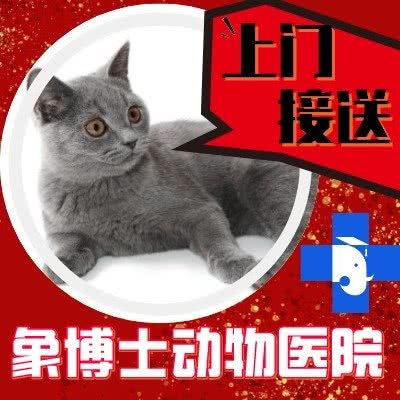 象博士宠物医院·高新诊疗中心(康虹路院):济南市高新区高新万达广场附近