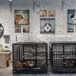 宠易堂生活馆:秦皇岛市海港区文化路附近