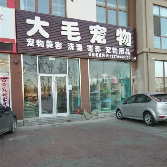 大毛宠物:烟台市开发区黄河路附近