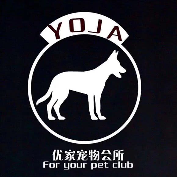 Miss Dog 优家宠物会所:烟台市开发区珠江路附近