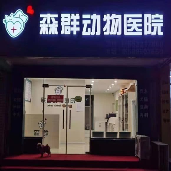 森群动物医院:烟台市开发区珠江路附近
