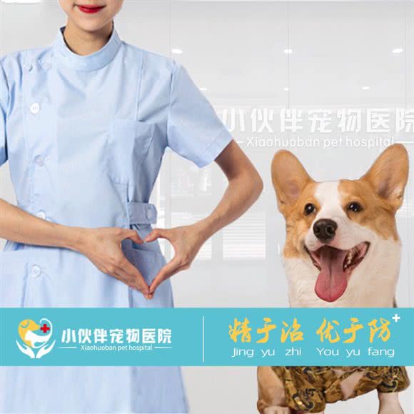 小伙伴宠物医院(高新店):潍坊市高新区富华游乐园附近