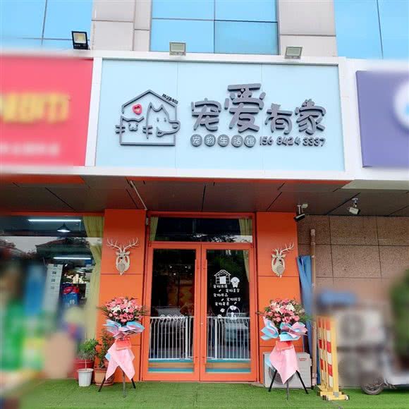 宠爱有家宠物生活馆(金马路店):潍坊市高新区金马路佳乐家附近