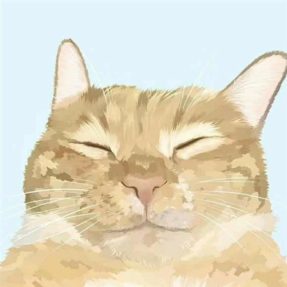 糖小果24小时动物诊疗中心:威海市高区利群商厦附近