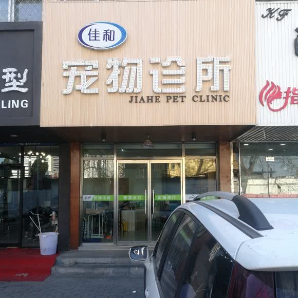 佳和宠物诊所:秦皇岛市海港区文化路附近