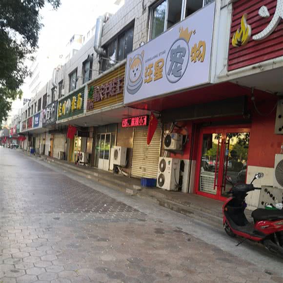 汪星狗狗:威海市高区哈工大附近