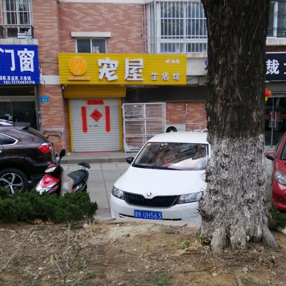宠屋生活馆:威海市高区寨子附近
