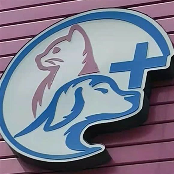 恒爱宠物诊所:威海市高区寨子附近