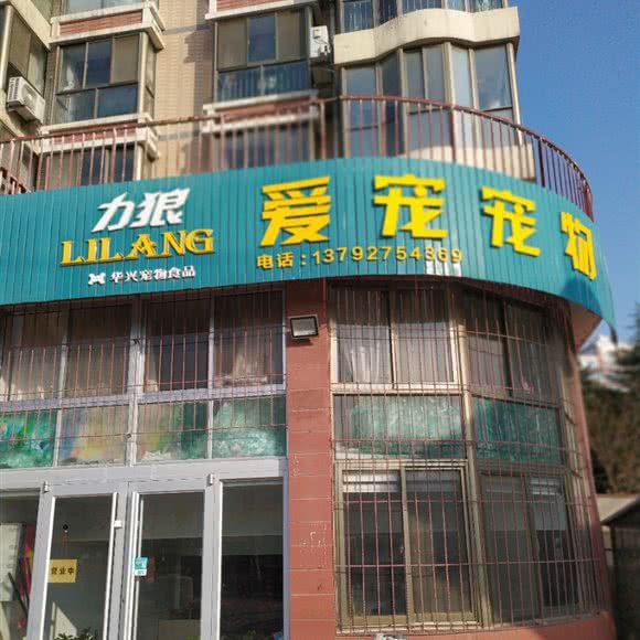 爱宠宠物:威海市高区张村附近