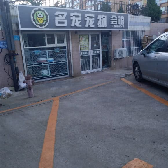 名宠宠物会馆:威海市高区田村附近
