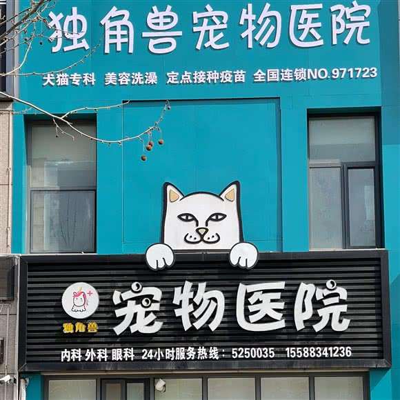 独角兽宠物医院(医疗24小时)(欧乐坊店):威海市高区田村附近