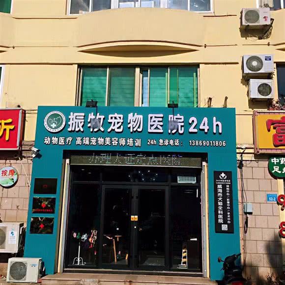 振牧宠物医院24小时:威海市经济开发区经区乐天马特附近