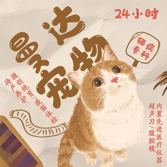 曼达24小时宠物诊疗中心·猫病专科(长峰店):威海市经济开发区长峰附近